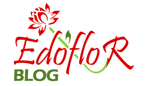 Edoflor Blog